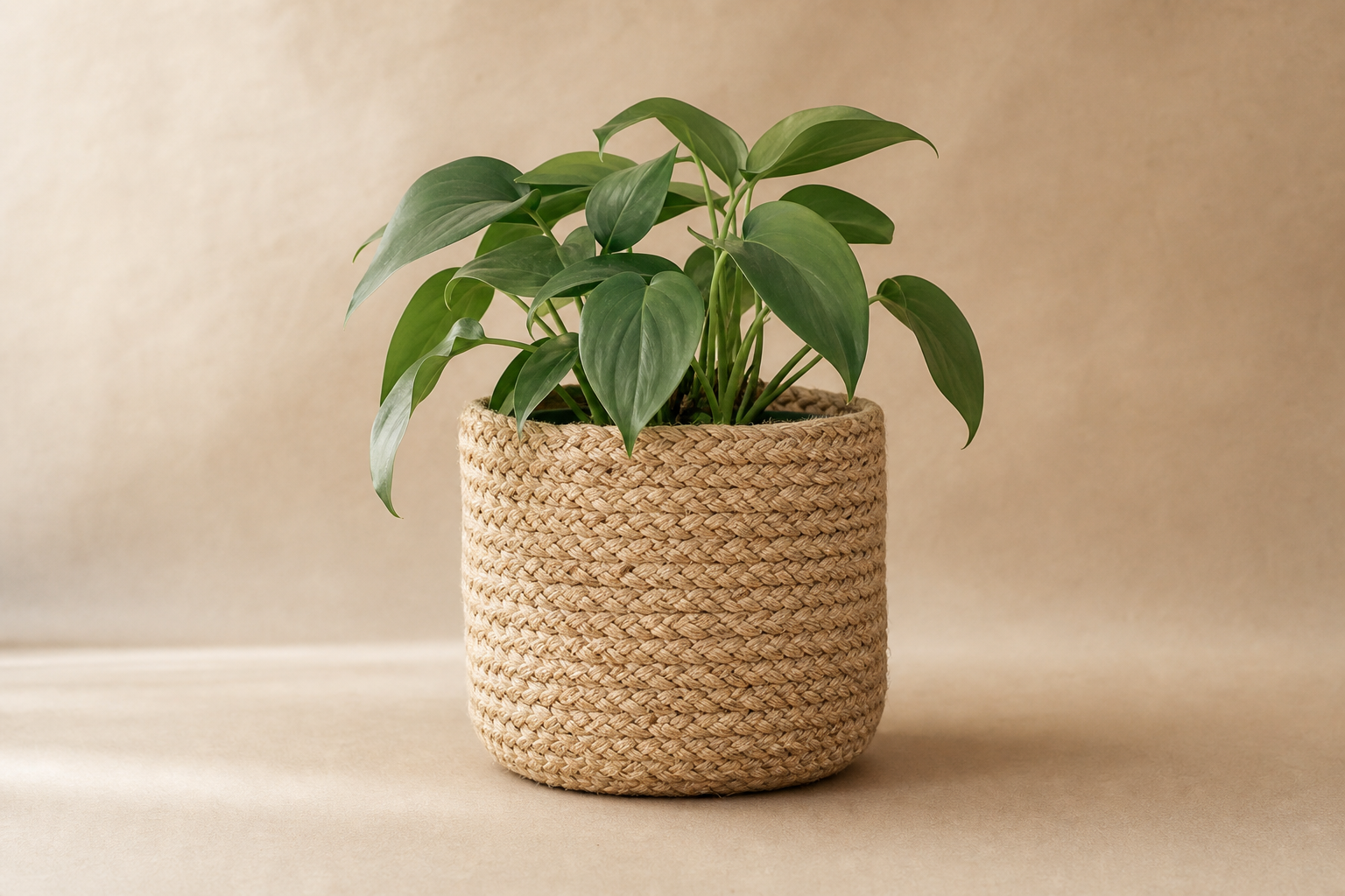 Ligne Cache-Pot Jute Tressée — Série 24